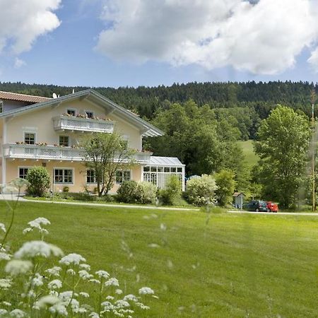 Landgasthof Zum Hirschenstein, Pension Garni Sankt Englmar Eksteriør bilde